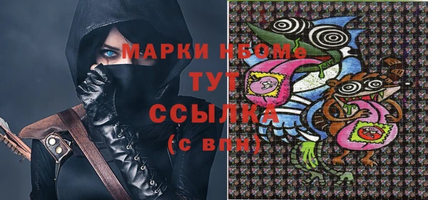 шишки Баксан