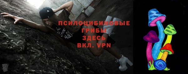 шишки Баксан