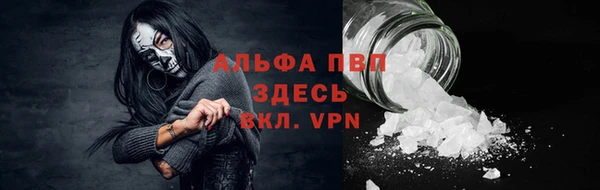 шишки Баксан