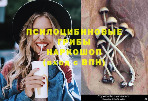 шишки Баксан