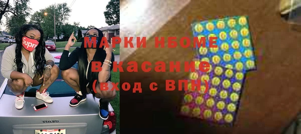 шишки Баксан