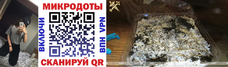 Галлюциногенные грибы прущие грибы  наркотики  Городец 