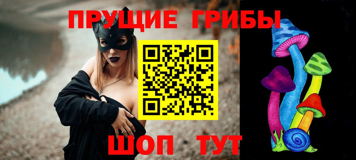 наркота  Псилоцибиновые грибы прущие грибы  Вход с VPN  Городец 